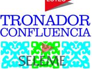 Venta de espectacular Lote Hasta 200 mts. en Neuquén