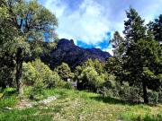 Venta de espectacular Lote Más de 500 mts. en San Carlos...