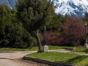 Venta de espectacular Lote Más de 500 mts. en San Carlos...