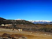 Venta de espectacular Lote Más de 500 mts. en San Carlos...