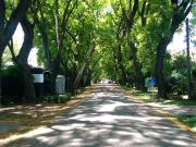 Venta de espectacular Lote Más de 500 mts. en San...