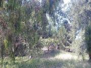 Venta de espectacular Lote Más de 500 mts. en Villa Gesell