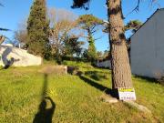 Venta de espectacular Lote Más de 500 mts. en Villa Gesell