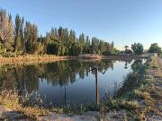 Venta de excelente finca 30 has en los barriales junin