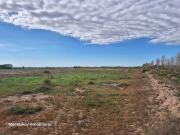 Venta de excepcional finca 50 has en ruta nacional 7...