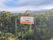 Venta de finca 15 has en calle la florida, los...