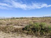 Venta de finca 25 has en calle nueva gil, la central...