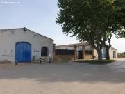 VENTA DE FINCA AGRICOLA EN ZONA DE VILAFRANCA DEL...