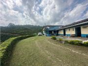 Venta de finca cafetera y aguacatera en el corregimiento...
