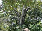Venta de Finca con gran jard?n en Atlixco, 4,132 m2 San...