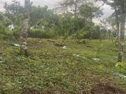 Venta de Finca de 3,5 hectáreas con casa en Puerto...