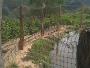 Venta de finca en Cocolo, Guaduas