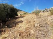 Venta de Finca en Grazalema, Sierra de Cádiz