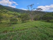 VENTA DE FINCA EN MONIQUIRÁ – BOYACÁ