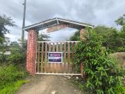 Venta de Finca en Producción, Recinto Limoncito, Santa...