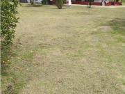 venta de finca en urrao antioquia