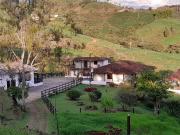 VENTA DE FINCA FREDONIA, SUROESTE ANTIOQUEÑO