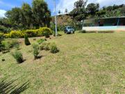 Venta de Finca productiva en Moniquirá – Boyacá Colombia