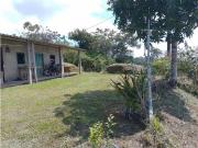 Venta de finca tradicional campesina en san Rafael antioquia
