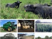 VENTA DE FINCA VALLES DE MOROTURO, MUNICIPIO URDANETA...