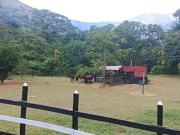 VENTA de FINCAS en TITIRIBI