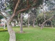 VENTA DE FLAT 3 DORMITORIOS AMPLIO BALCÓN CON VISTA A...