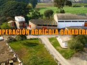 VENTA DE FUNDO AGRICOLA GANADERO EN PACHACAMAC DE 12.8...