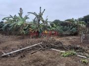 Venta De Gran Terreno En Mala