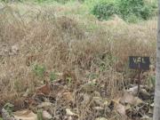 Venta de Hacienda en Progreso