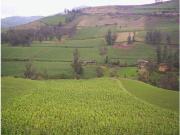 venta de Hacienda Machachi Aloasi el corazón vista al...