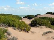 Venta de hectareas con 115 metros frente al mar ! Nueva...