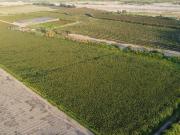 Venta de Hectáreas con buena Ubicación