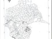 VENTA DE HECTAREAS EN SAN QUINTIN BAJA CALIFORNIA