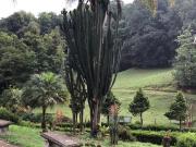 VENTA DE HERMOSA FINCA EN BRIONES