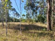 VENTA DE HERMOSA PARCELA EN COIPUE FREIRE