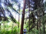 VENTA DE HERMOSO TERRENO RURAL EN OXAPAMPA – 56.06 HECTÁREAS