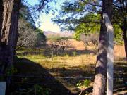 VENTA DE HERMOSOS LOTES EN CASA GRANDE CORDOBA