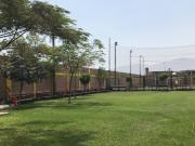 Venta De Local Comercial En Av. Jose Saco Rojas Carabayllo