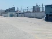 ALQUILER DE LOCAL INDUSTRIAL DE 12,800M2 EN CARMEN DE LA...