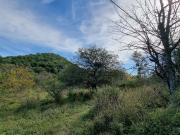 VENTA DE LOTE 1,393 HECTAREAS EN UNQUILLO