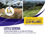 Venta de Lote ALTO DE PALMAS 400m2