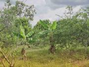 venta de lote campestre en andalucía valle