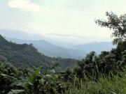 Venta de lote de 1100 M2 de 90 mill en La Mesa Cund