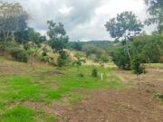 Venta de lote de 1992 M2 en 150 mill en San Joaquin Ins...