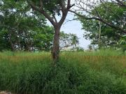 Venta de lote de terreno No. 19 en Fracc. Floresta...