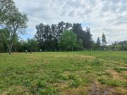 VENTA DE LOTE EN BRANDSEN, 3863 m2 RUTA 2 PERMUTA