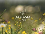 Venta de Lote en Damasia Al Sur