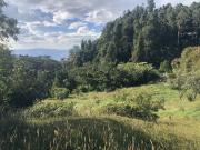 Venta de lote en el Alto de las Palmas Envigado