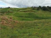 Venta de lote en el Carmen de Viboral