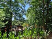 Venta de lote en M.B Gonnet en zona residencial